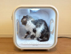 『Drybo Plus』の写真