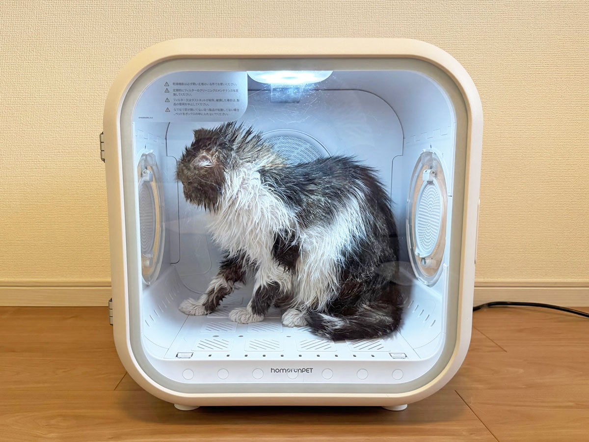 『Drybo Plus』の写真