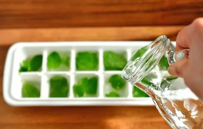 『ミント氷』を作る写真（撮影：小泉明代）