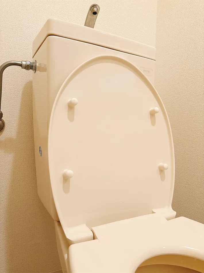 トイレの蓋の写真（撮影：grapeライフハック編集部）