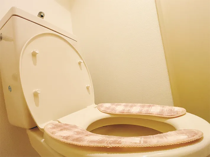トイレの蓋の写真（撮影：grapeライフハック編集部）