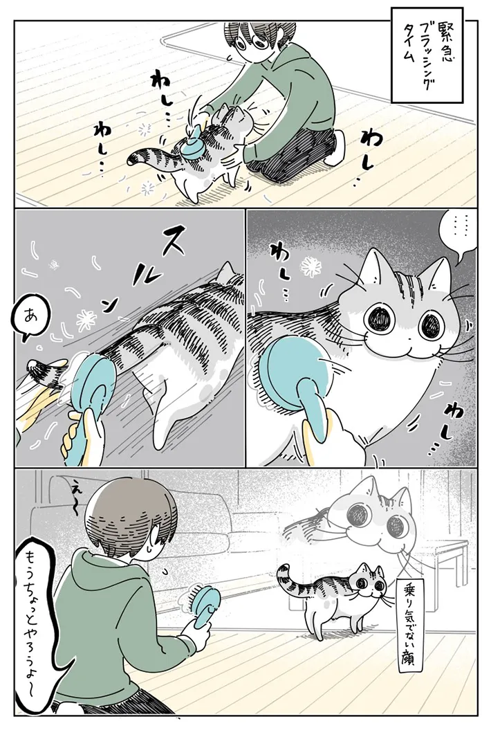 キュルZ（@kyuryuZ）さんの作品2