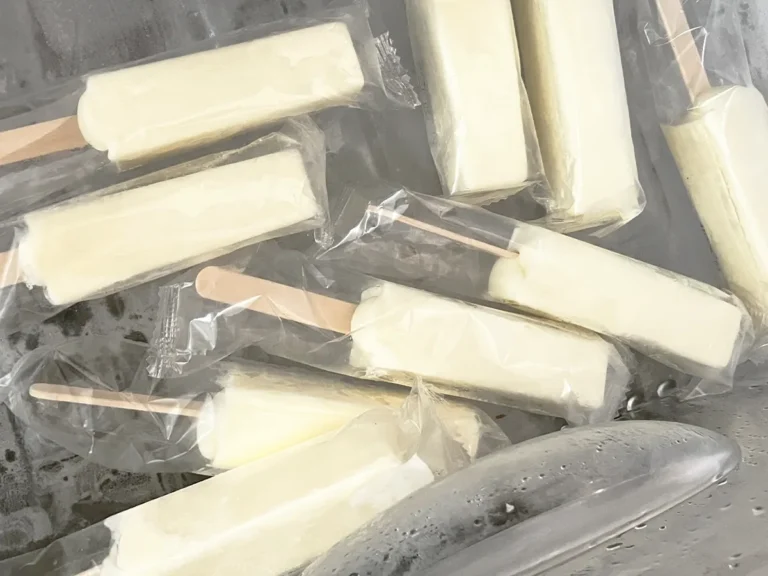 アイスクリームを冷凍庫に入れた場面