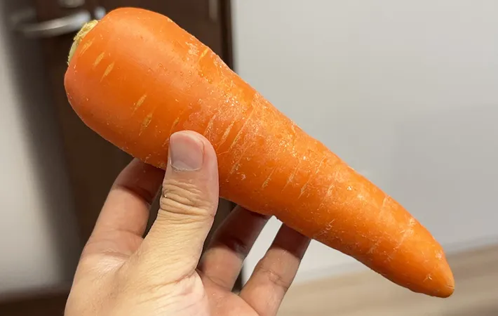 にんじんの画像（撮影：キジカク）