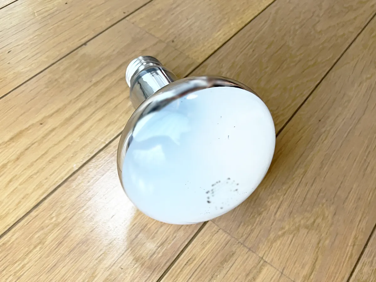電球のイメージ写真