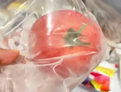 トマトの写真（撮影：キジカク）
