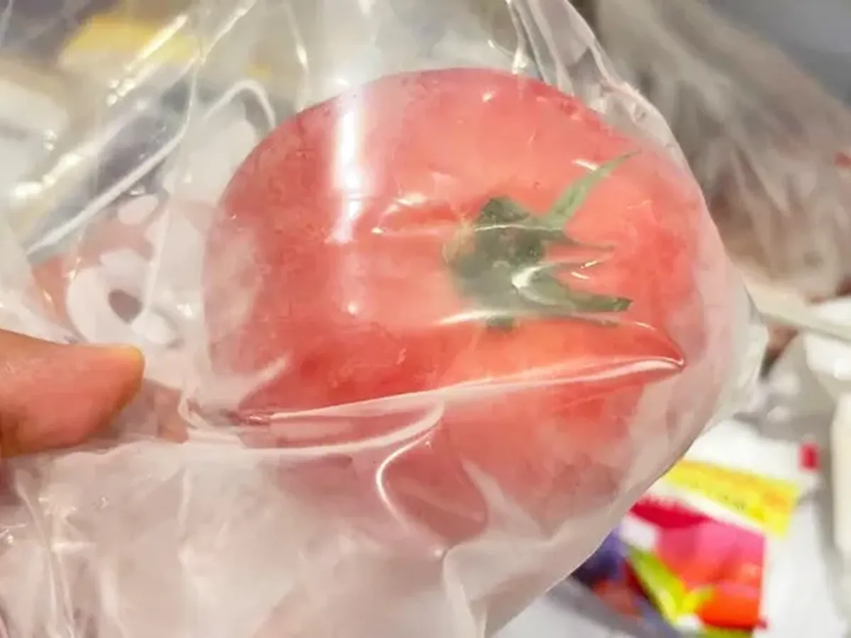 トマトの写真（撮影：キジカク）