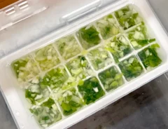 製氷皿に長ネギを詰めた画像（撮影：エニママ）