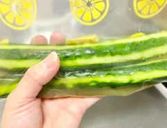 キュウリの一本漬け