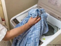 洗濯の写真