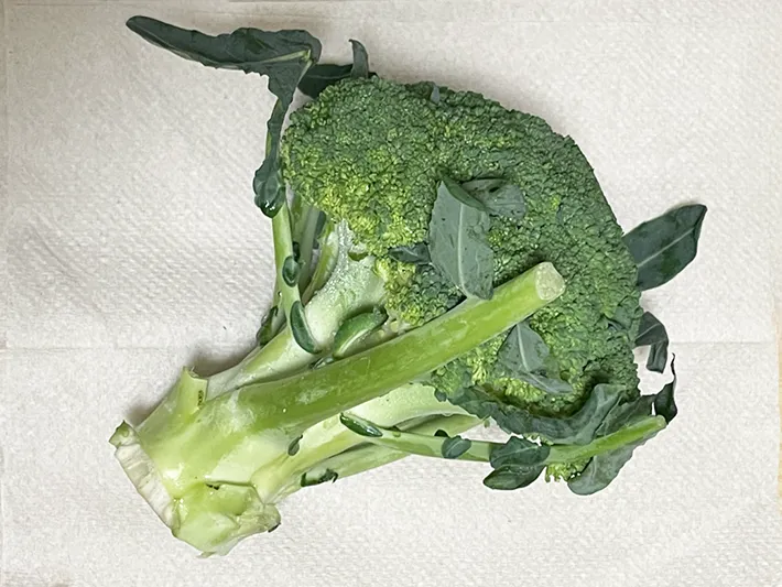 ブロッコリーの写真（撮影：grapeフード編集部）