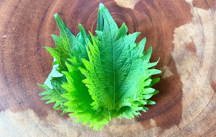 青じその茎を取った画像（撮影：エニママ）