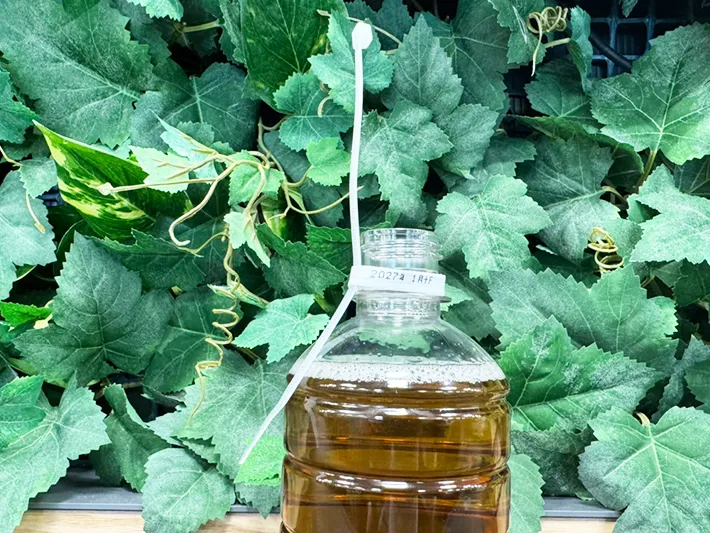 ペットボトルのフタに結束バンドを挿しこむ（撮影：grapeライフハック編集部）