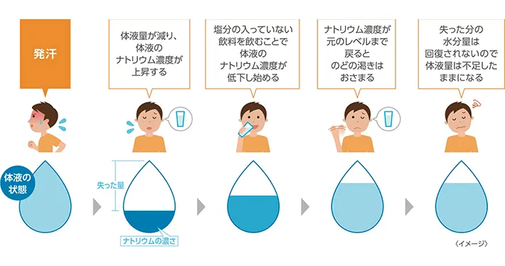 水分量とナトリウム濃度のイメージ画像