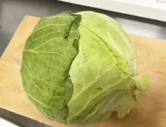 キャベツ
