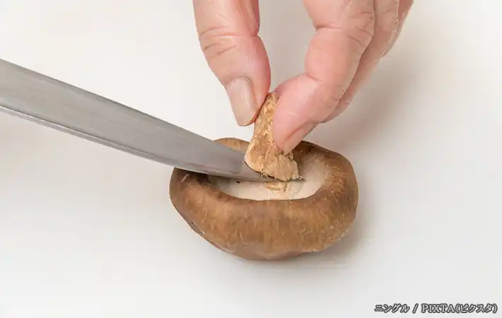 シイタケの写真