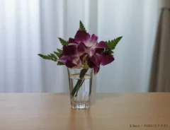 切り花の写真