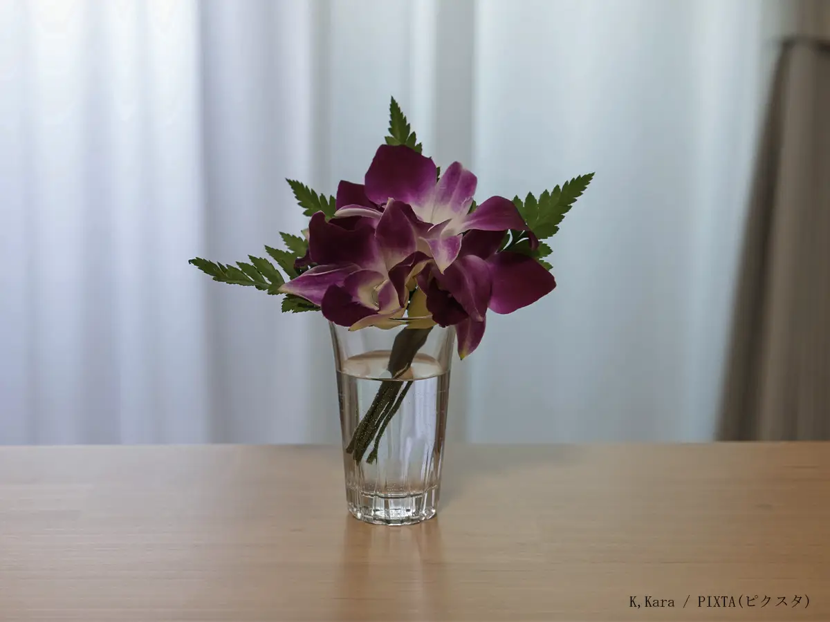 切り花の写真