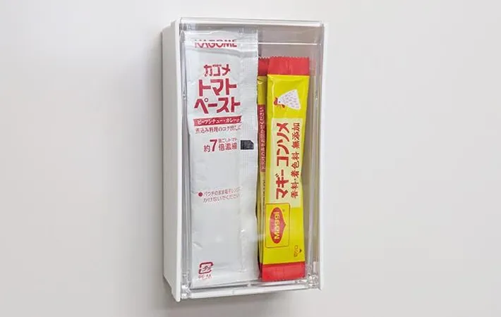『ダイソー マグネットスイングケース トールホワイト』の使用写真（撮影：ワード）