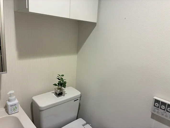トイレと戸棚の間のデッドスペース（撮影：grapeライフハック編集部）