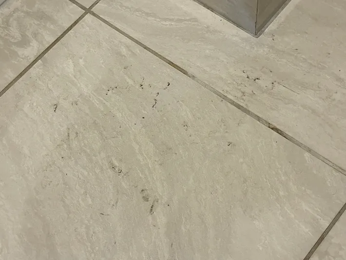 黒ズミがたまった玄関の床（撮影：grapeライフハック編集部）