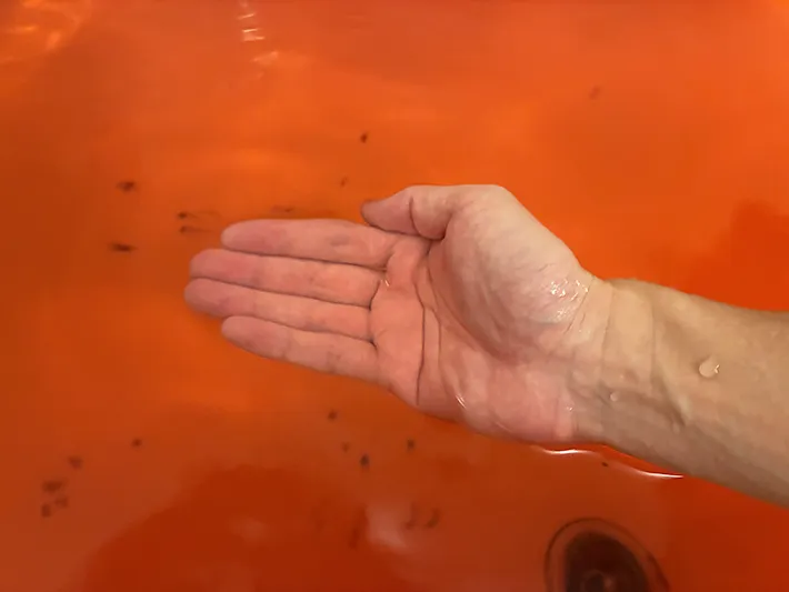 スイカバーの湯に入れる手（撮影：grape編集部）