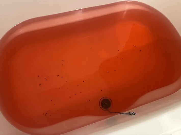 スイカバー入浴剤を入れた風呂（撮影：grape編集部）