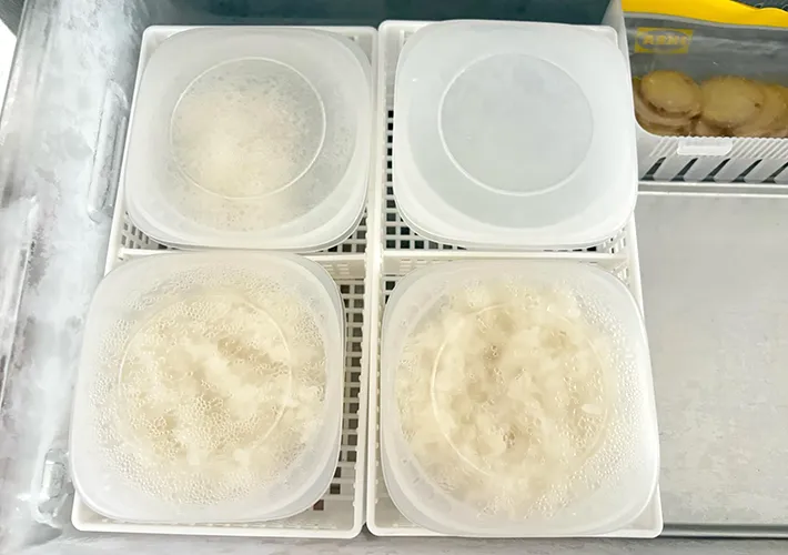 冷凍庫と冷凍ご飯の写真（撮影：Classy Life）
