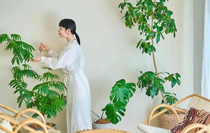 植物に水を与える写真