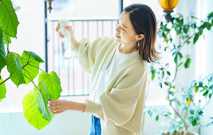 植物に水を与える写真