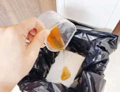 ペーパーに酢液を染み込ませる写真（撮影：キジカク）