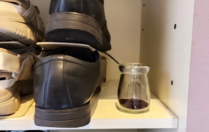 靴箱にコーヒーグラウンズを置いた画像（撮影：エニママ）