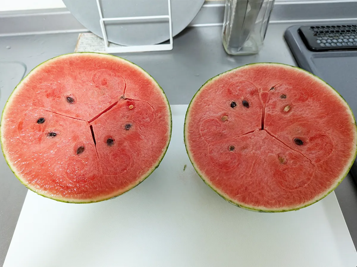 スイカの画像(撮影:grapeフード編集部)
