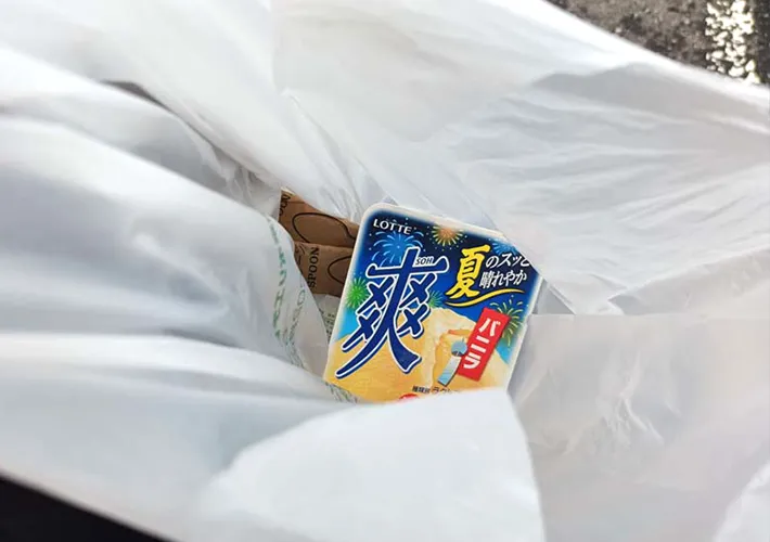 ビニール袋とアイスの写真（撮影：デジタル・コンテンツ・パブリッシング）