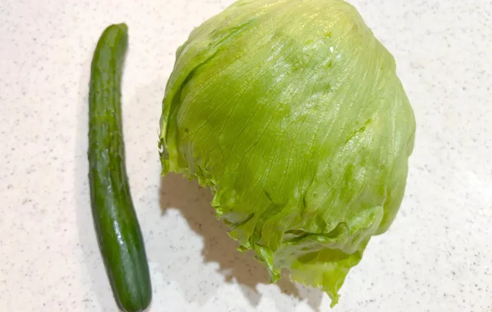 レタスとキュウリの画像（撮影：エニママ）