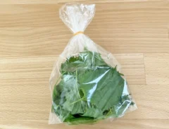 大葉の写真(撮影:grapeフード編集部)