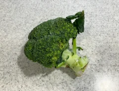 ブロッコリーの写真(撮影:grapeライフハック編集部)
