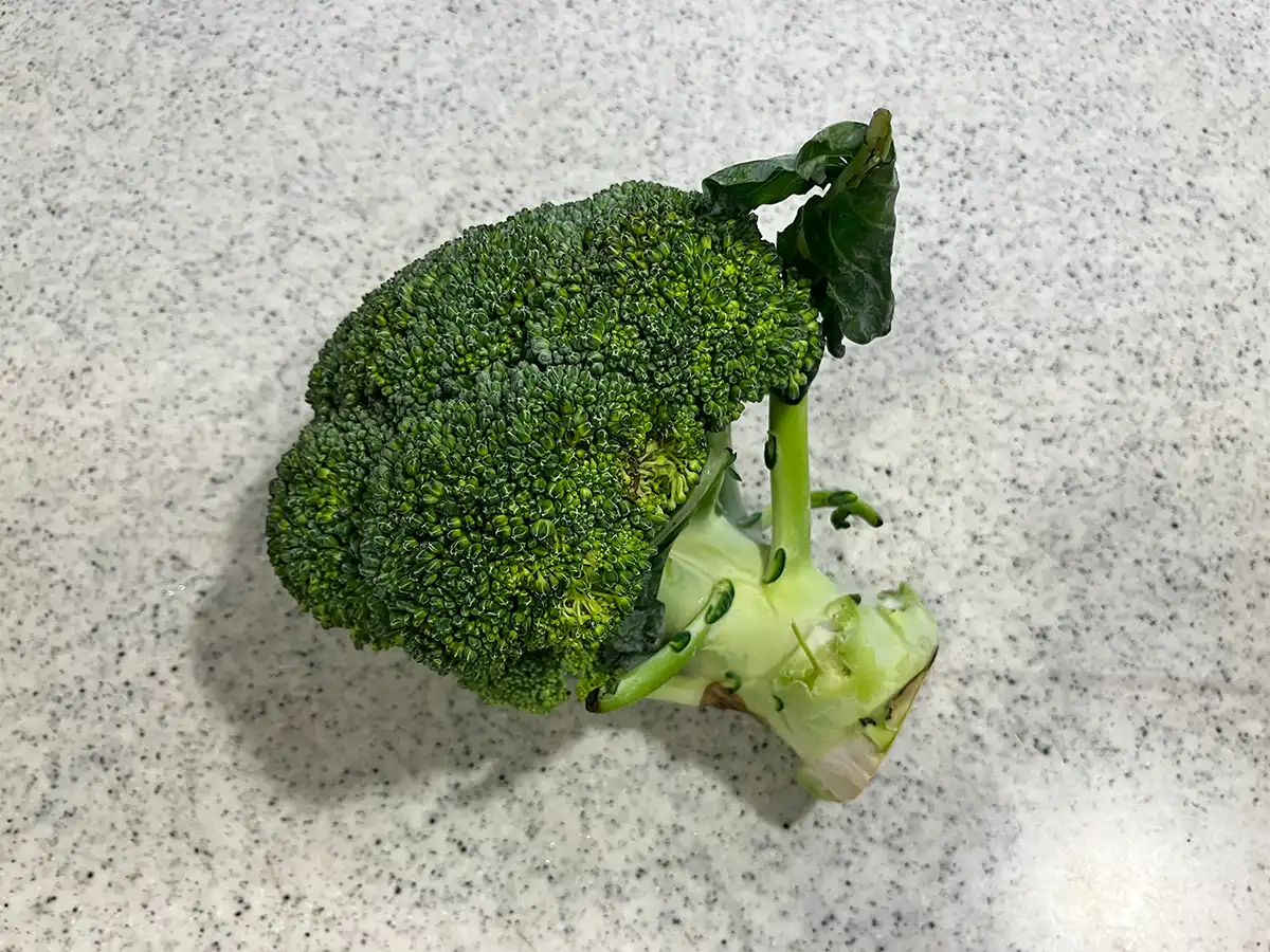 ブロッコリーの写真(撮影:grapeライフハック編集部)
