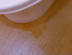 トイレの水漏れの写真