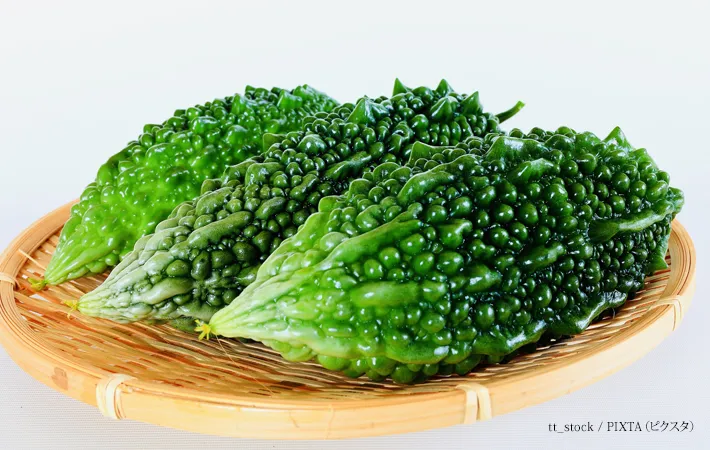 『夏野菜　ゴーヤ』の写真