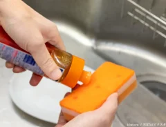 食器洗いスポンジの写真