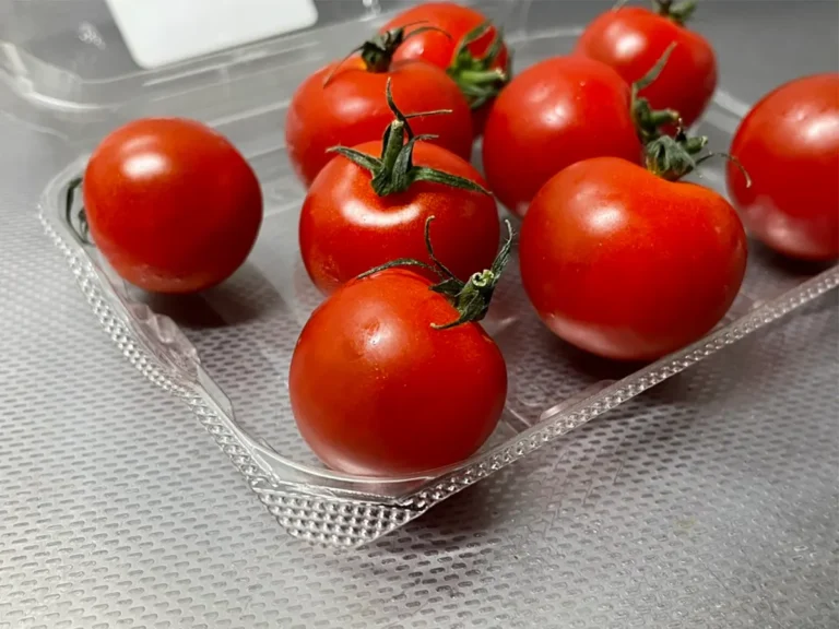 ミニトマトの写真（撮影：grapeフード編集部）