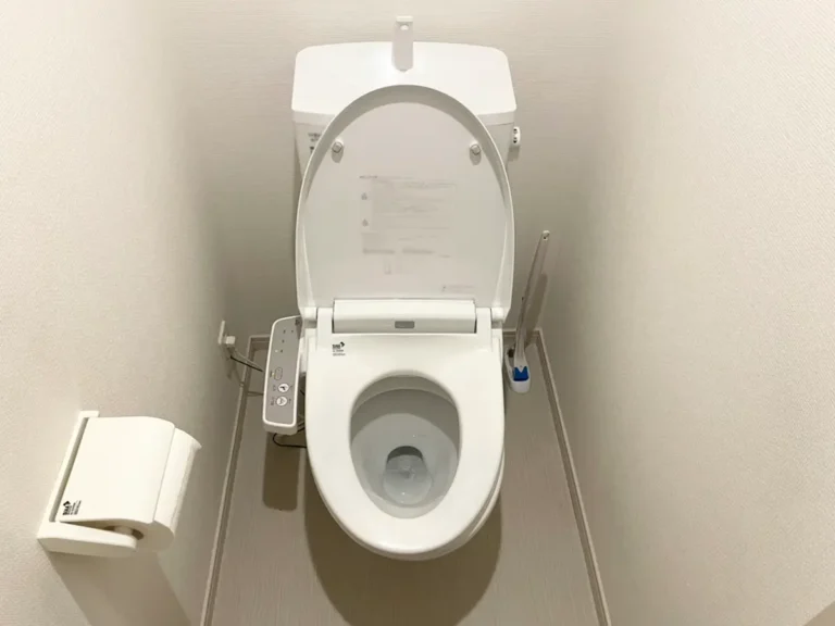 家のトイレの写真(撮影:grapeライフハック編集部)
