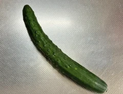 キュウリのの写真（撮影：grapeフード編集部）