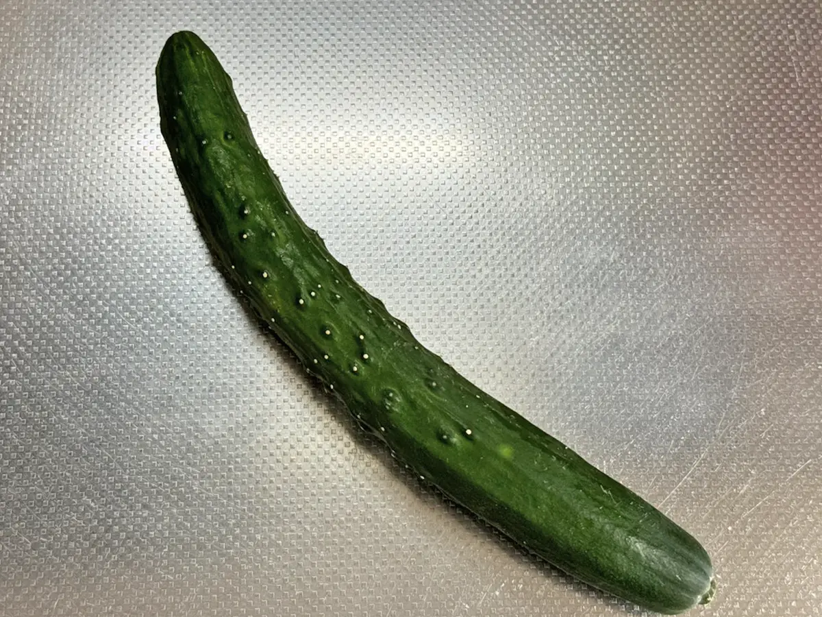 キュウリのの写真（撮影：grapeフード編集部）