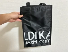 手で持ったカルディの保冷バッグ（撮影：grape編集部）
