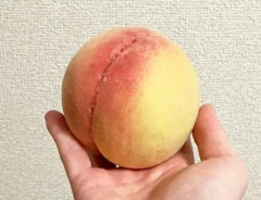 桃の写真（撮影：grapeフード編集部）