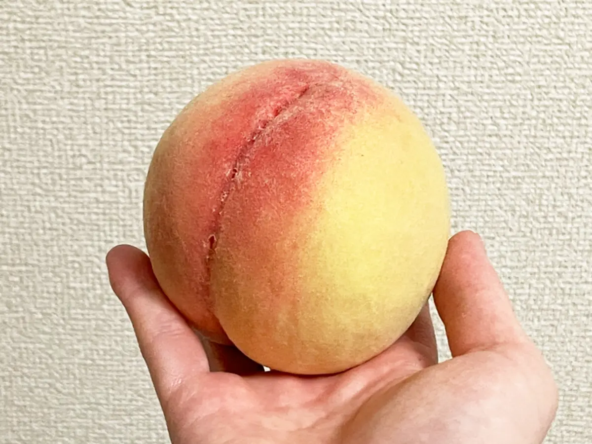 桃の写真（撮影：grapeフード編集部）