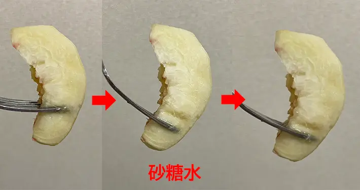 砂糖水に浸した桃の変化の写真（撮影：grapeフード編集部）