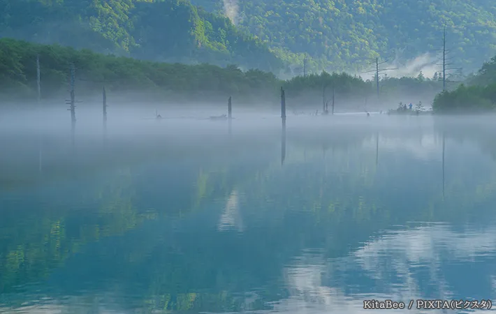大正池の霧の写真